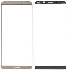Скло екрану (Glass) Huawei Mate 10 Pro (BLA-L09, BLA-L29), золотистий