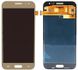 Дисплей (экран) Samsung J200F, J200H, J200Y Galaxy J2 TFT с тачскрином в сборе, золотистый